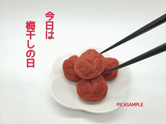 どう見ても 梅干し【みつ漬け】)(立体模型)☆リアルな食品サンプルのキーホルダー | 5枚目
